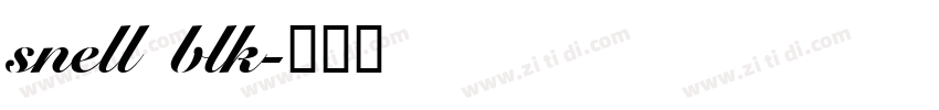 snell blk字体转换